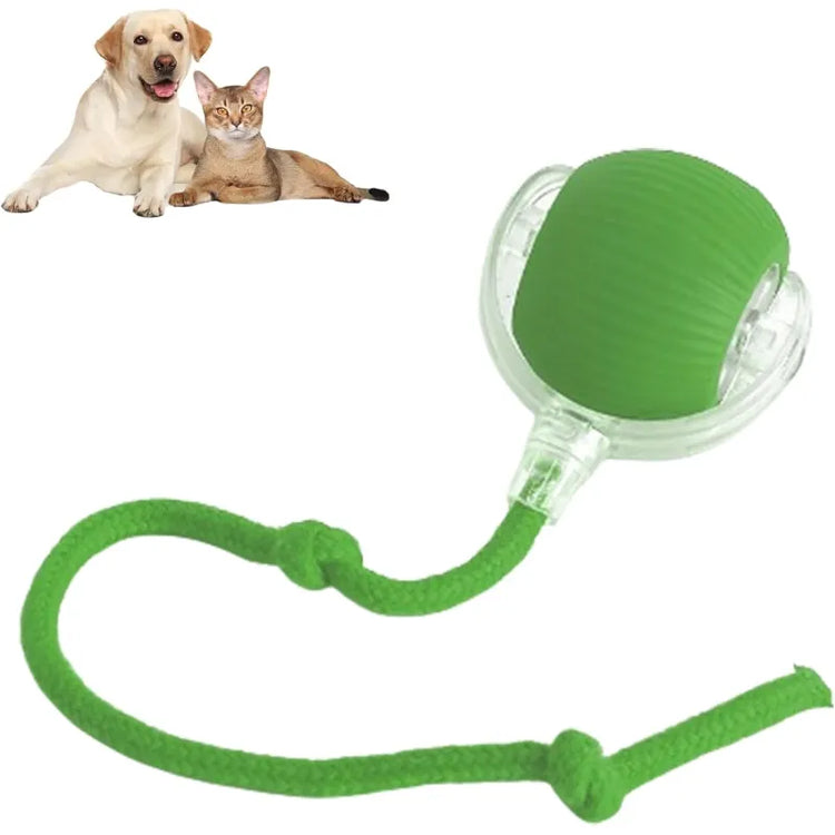 Dog Toys