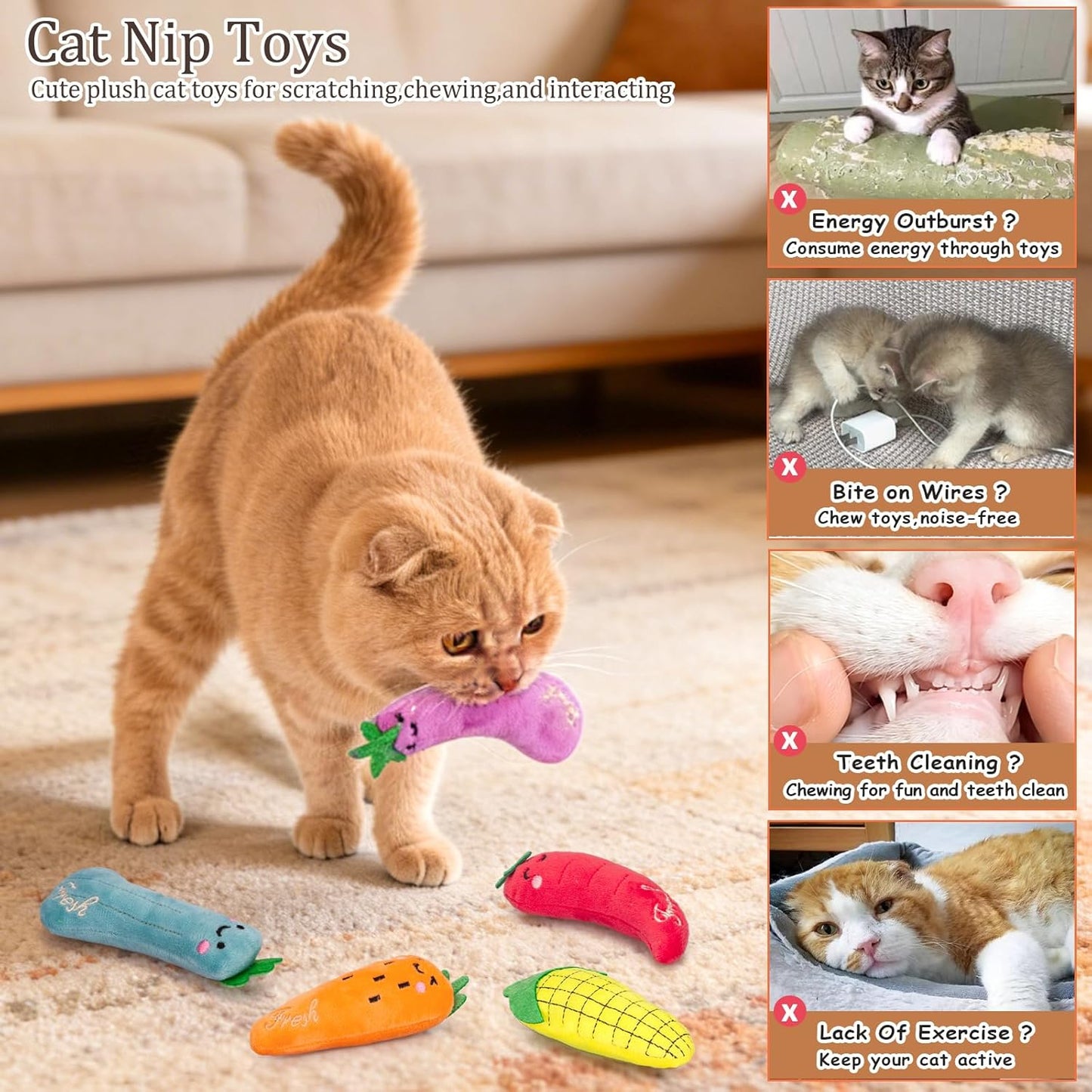 Catnip Toys