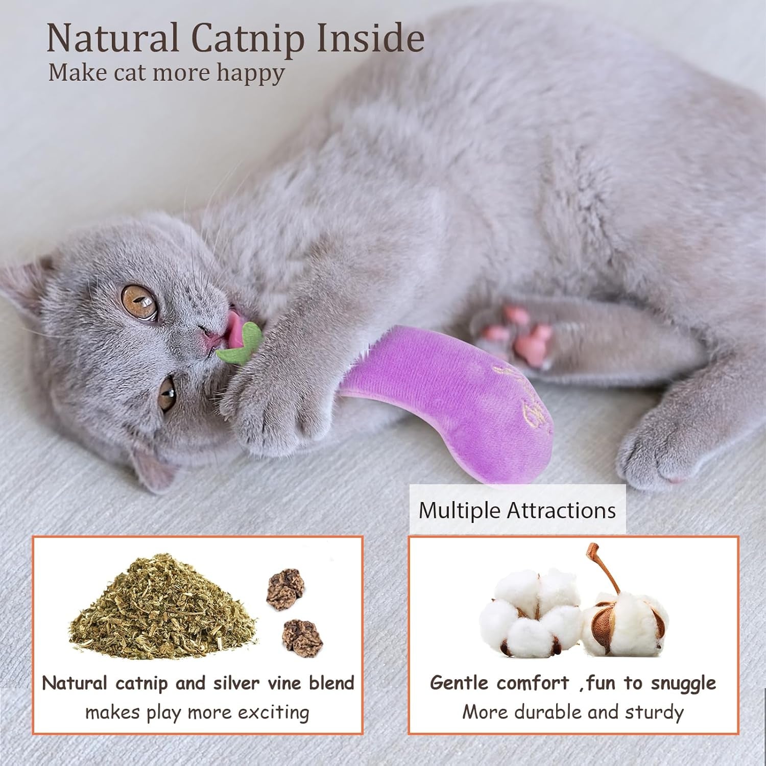 Catnip Toys