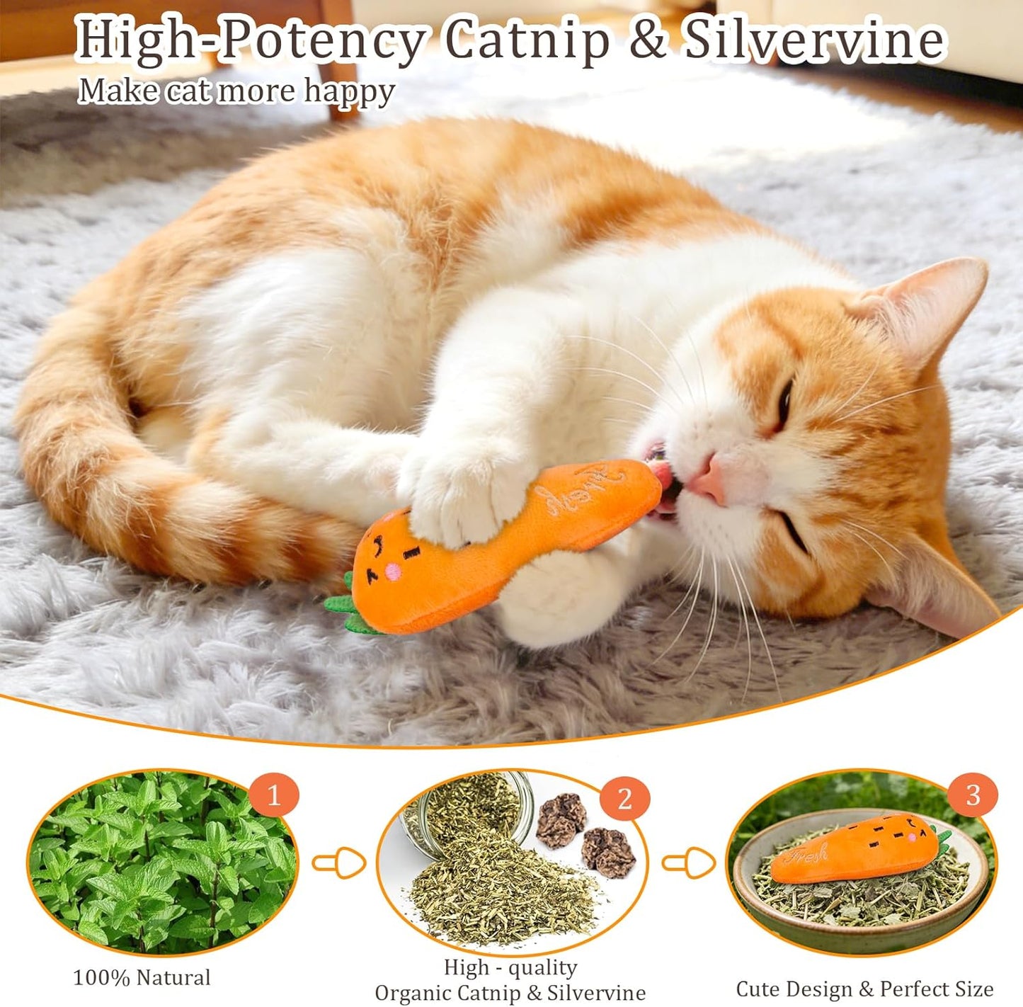 Catnip Toys