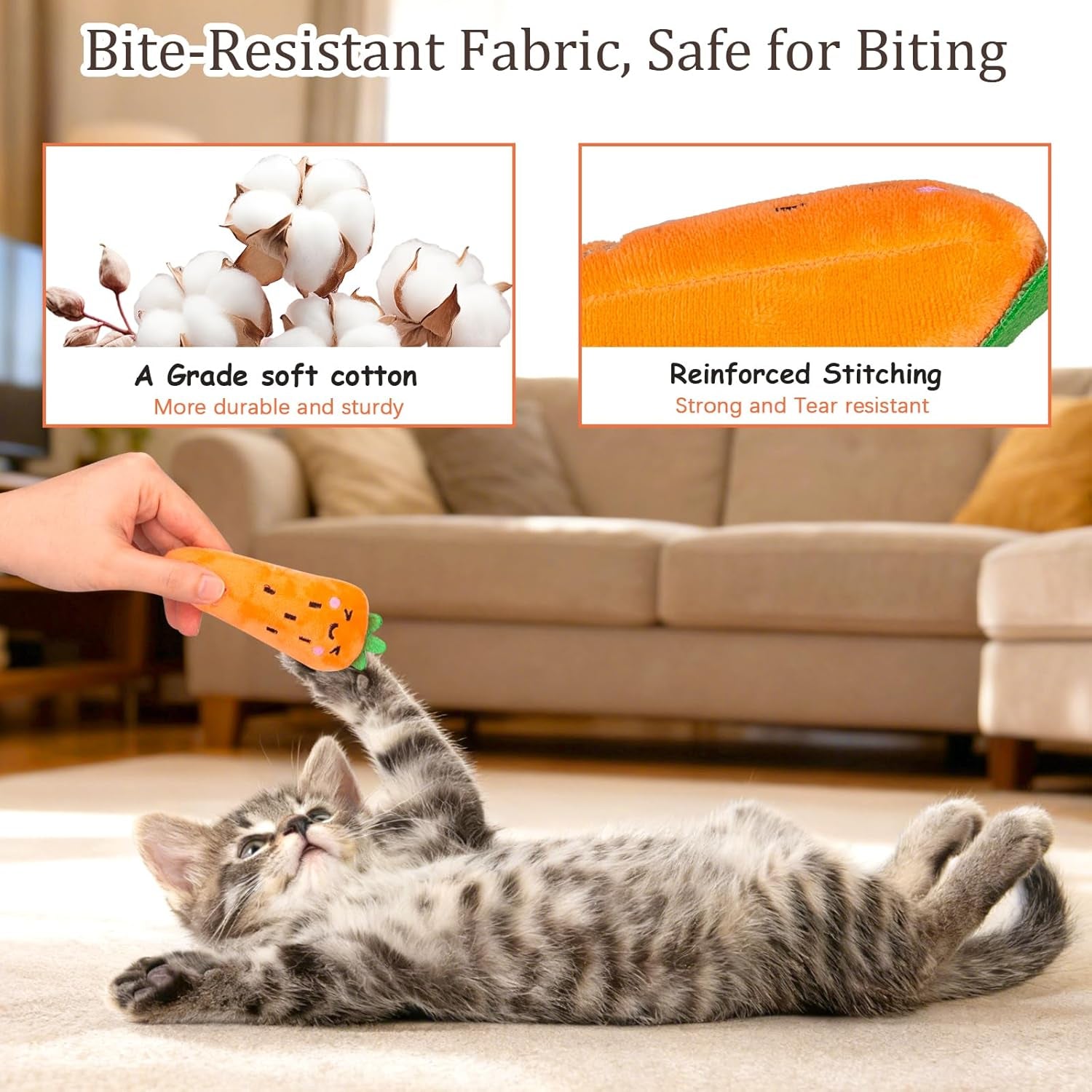 Catnip Toys